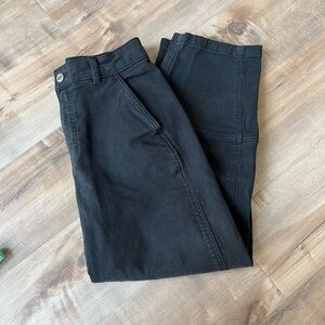 Everlane The Utility Barrel Pant (Black)